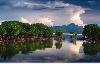 Beach Lot for Sale in Bush Island, Puerto Princesa